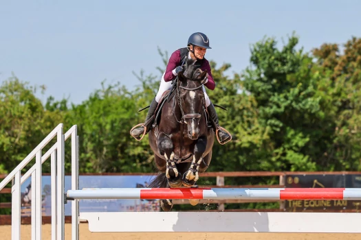 Sarah Smith (@sarahsmith1) profile image